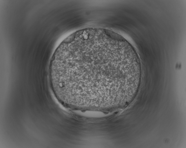 X0000090861440200708241849