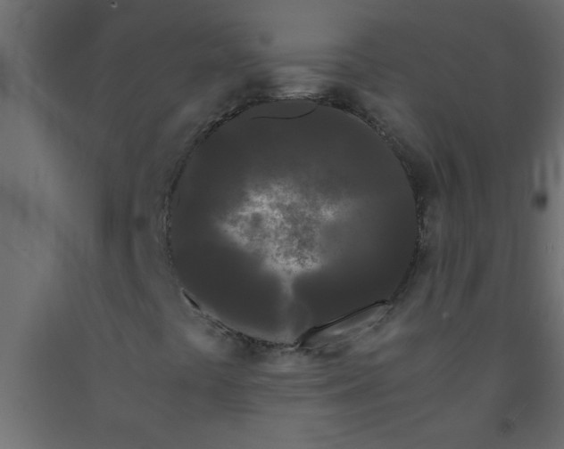 X0000090861441200708241848