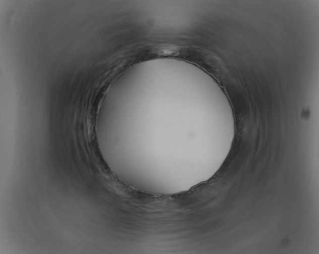 X0000090861442200708241848