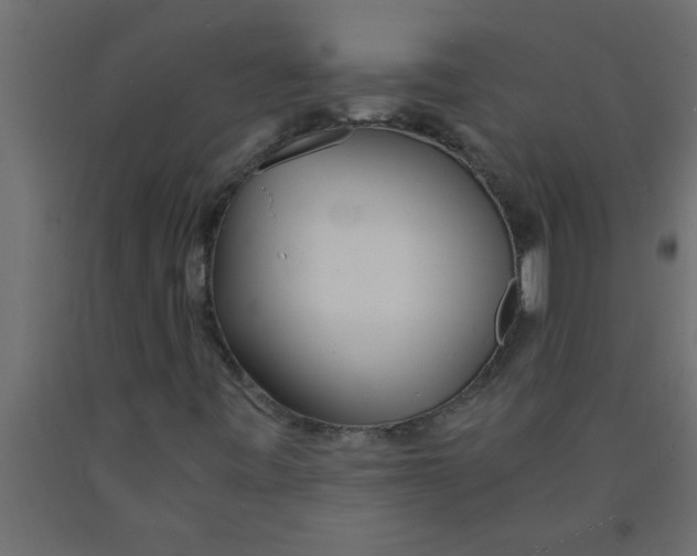 X0000090861443200708241848