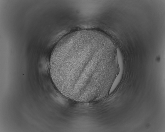 X0000090861444200708241848