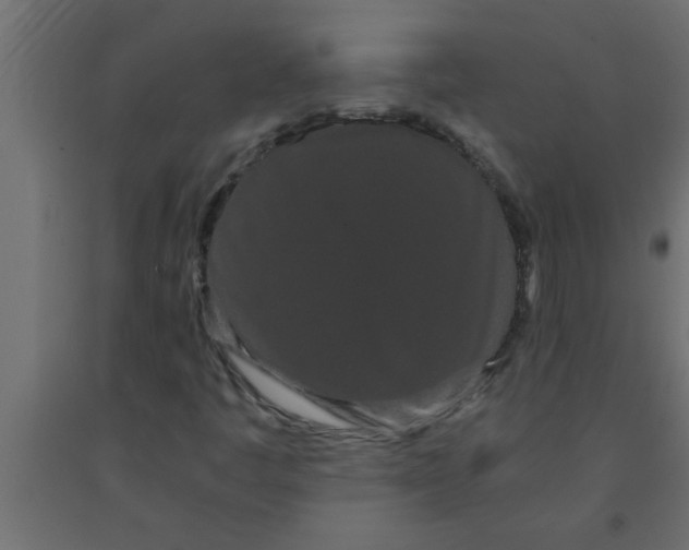 X0000090861445200708241848