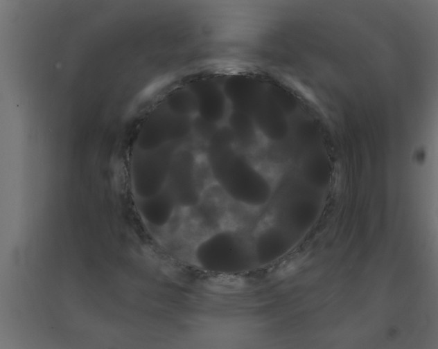 X0000090861446200708241848