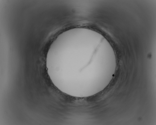 X0000090861447200708241848
