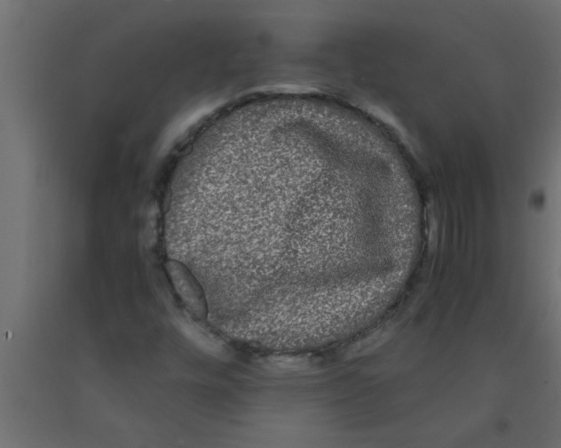 X0000090861448200708241848