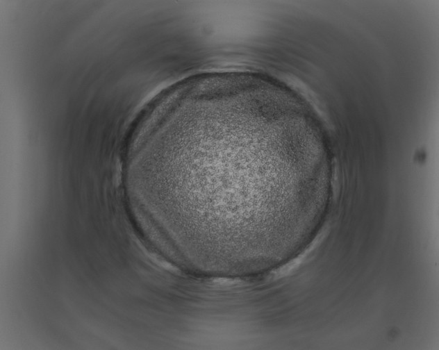X0000090861449200708241848
