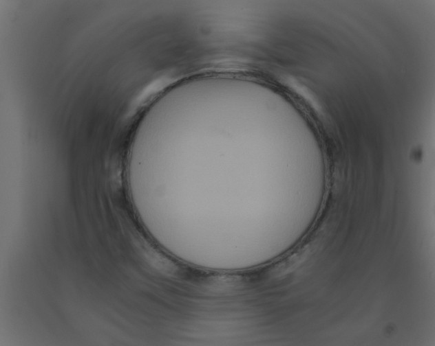 X0000090861451200708241848