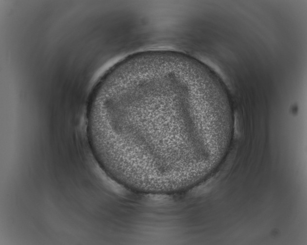 X0000090861452200708241848