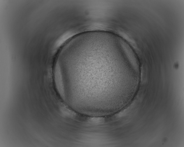 X0000090861453200708241848
