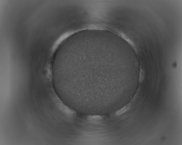 X0000090861454200708241848