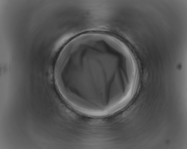X0000090861455200708241848