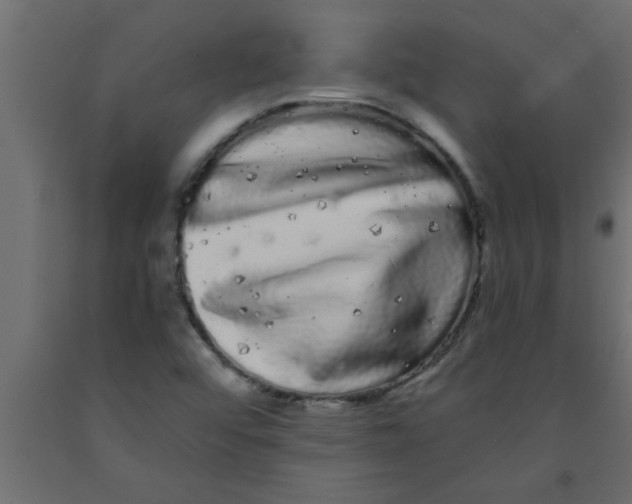 X0000090861456200708241848