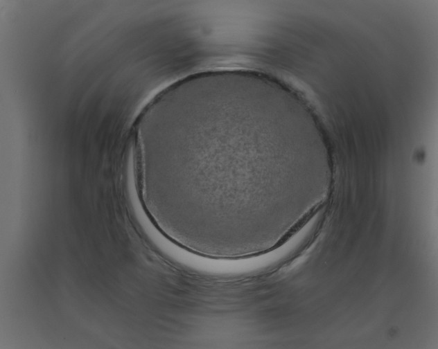 X0000090861457200708241848