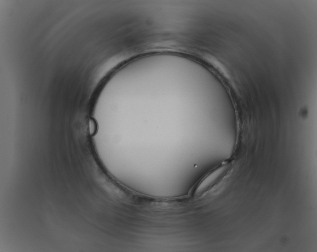 X0000090861458200708241848
