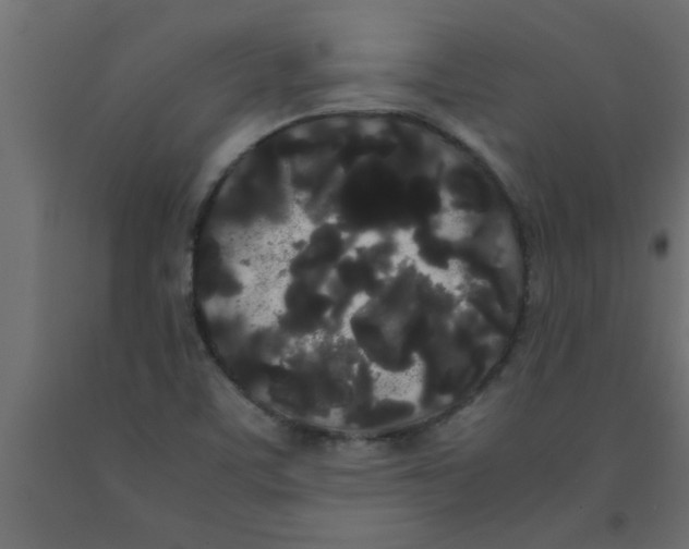 X0000090861459200708241848