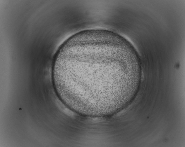 X0000090861460200708241848
