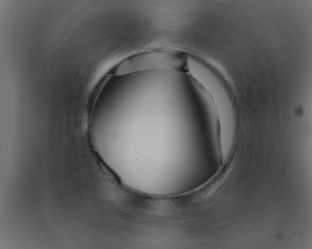 X0000090861461200708241848