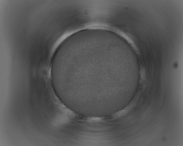 X0000090861462200708241848