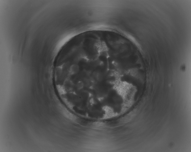 X0000090861463200708241848