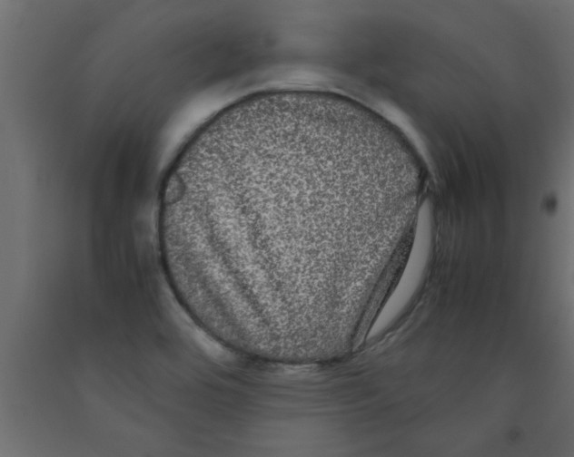 X0000090861464200708241848