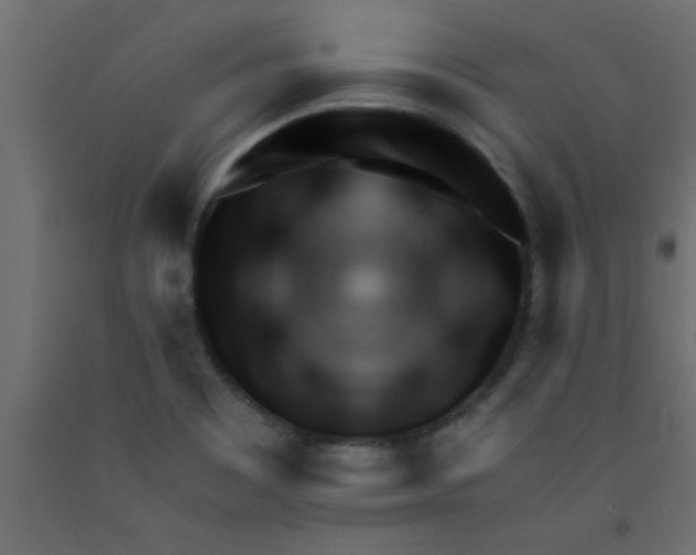 X0000090861465200708241848