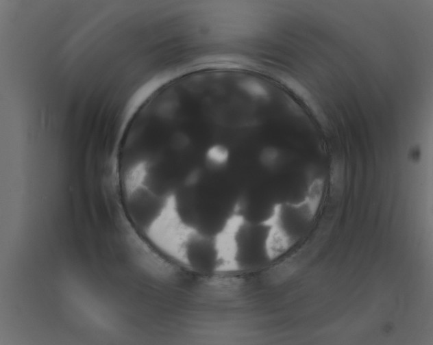 X0000090861466200708241848