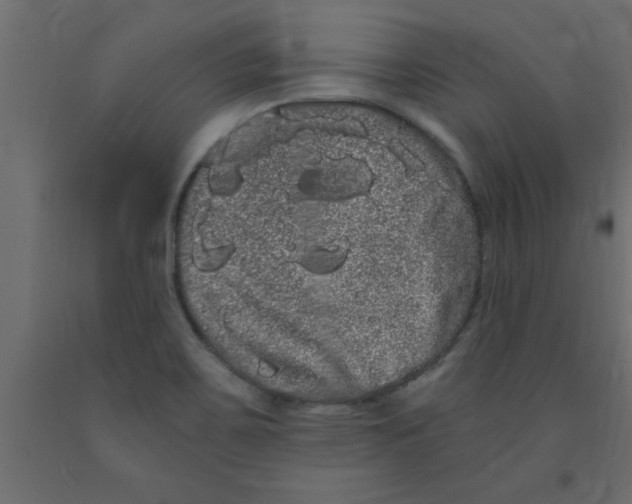 X0000090861467200708241848