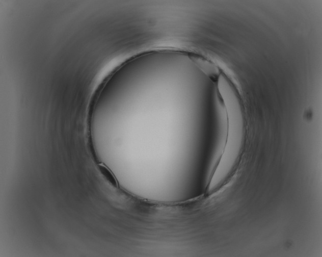 X0000090861469200708241848