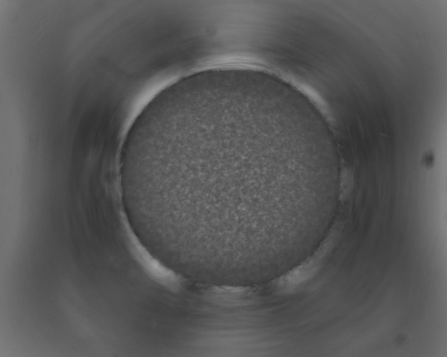 X0000090861470200708241848