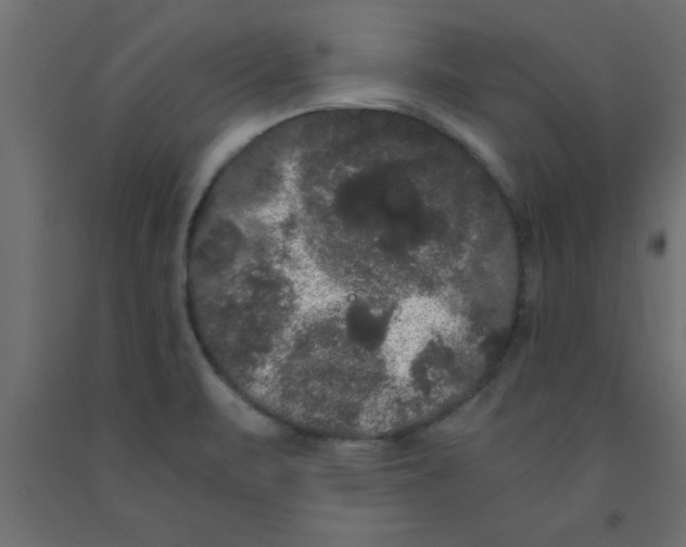 X0000090861471200708241848