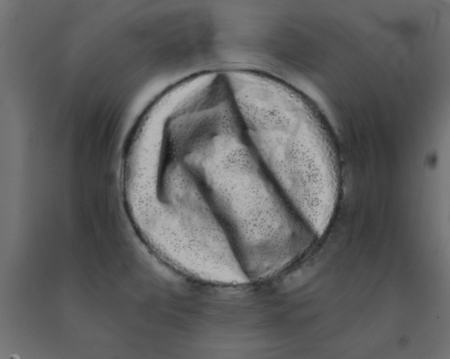 X0000090861472200708241848