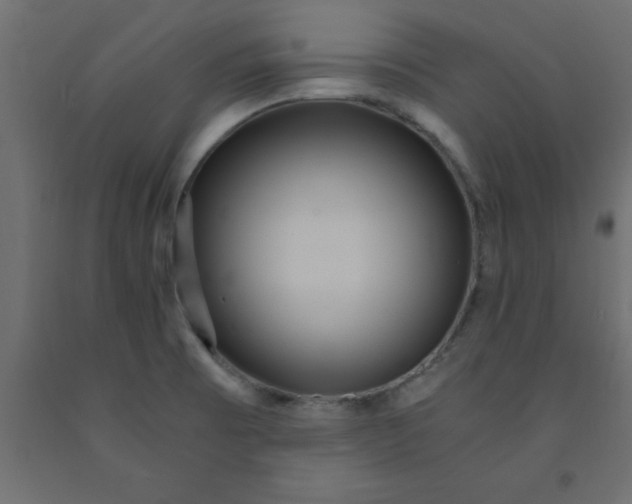 X0000090861473200708241848