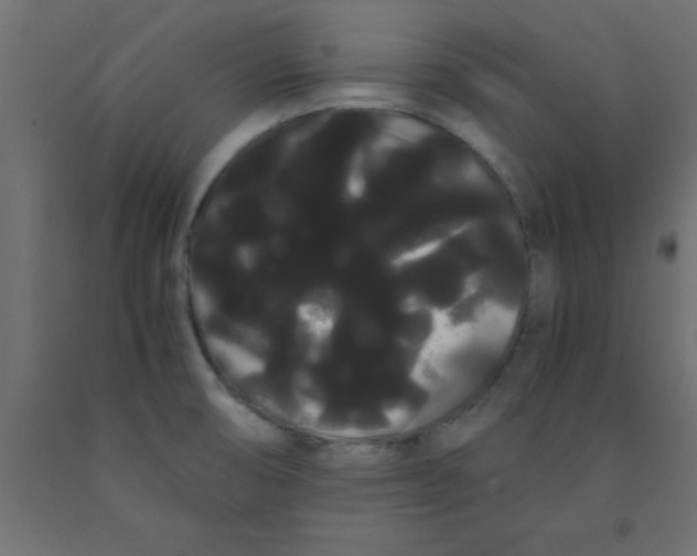 X0000090861474200708241848