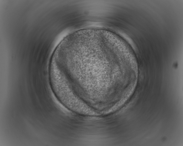 X0000090861475200708241848