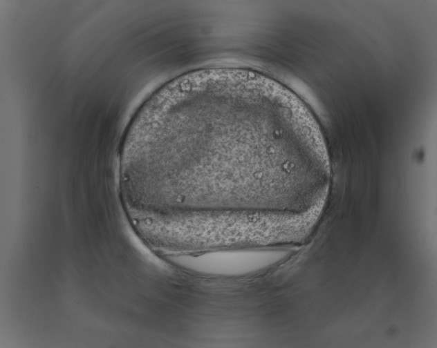 X0000090861476200708241848