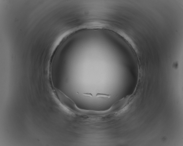 X0000090861477200708241848