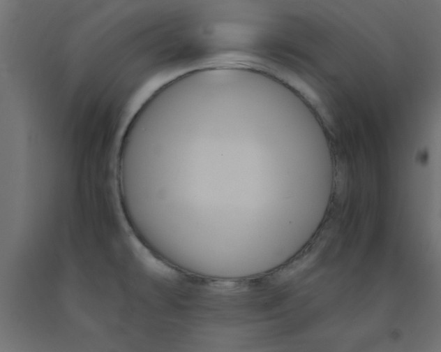 X0000090861478200708241848