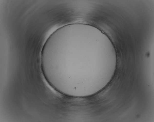 X0000090861479200708241848