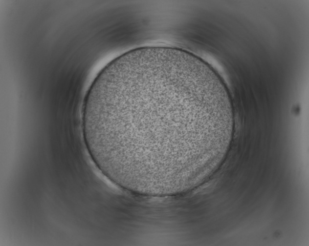 X0000090861480200708241848