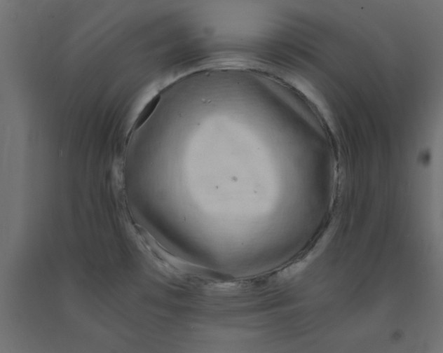 X0000090861481200708241848