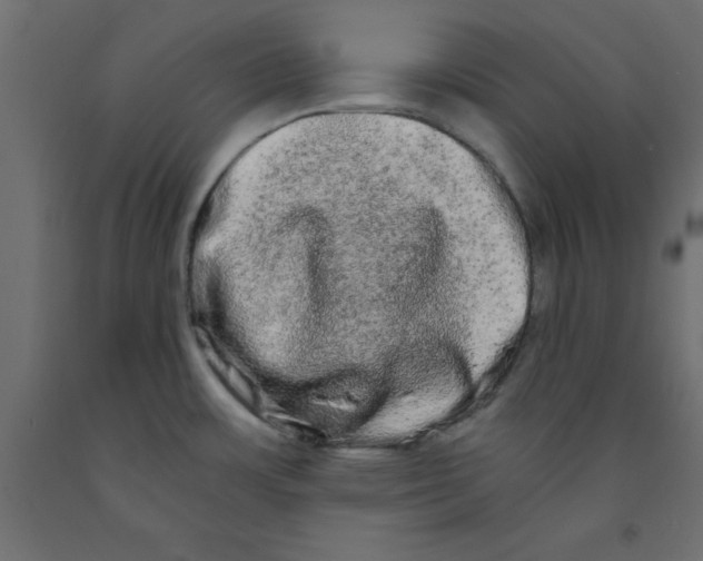 X0000090861483200708241848