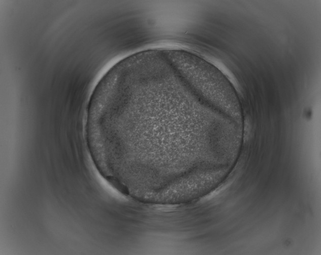 X0000090861484200708241848