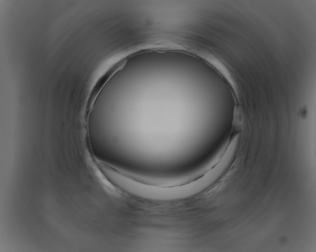 X0000090861485200708241848