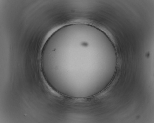 X0000090861486200708241848