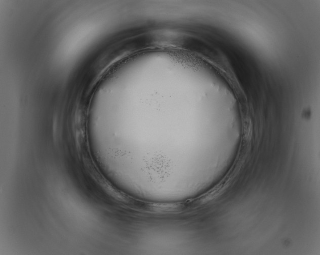 X0000090861487200708241848