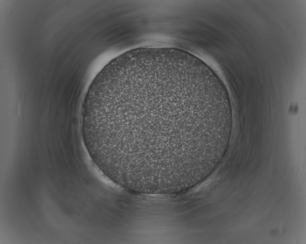 X0000090861488200708241848