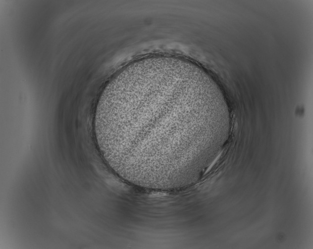 X0000090861489200708241847