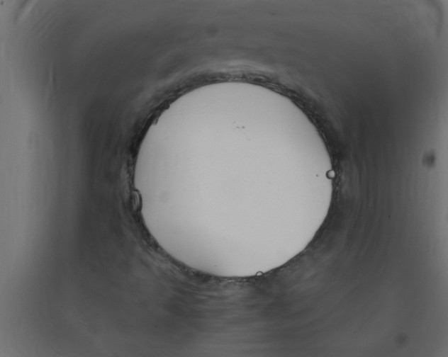 X0000090861493200708241847