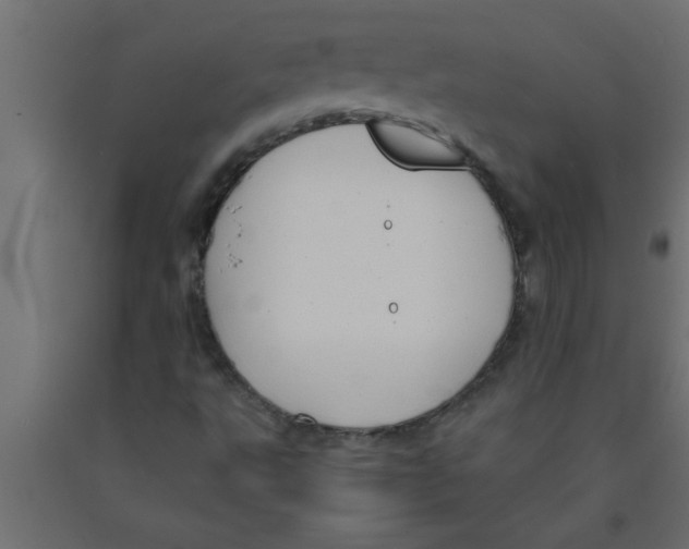 X0000090861495200708241847