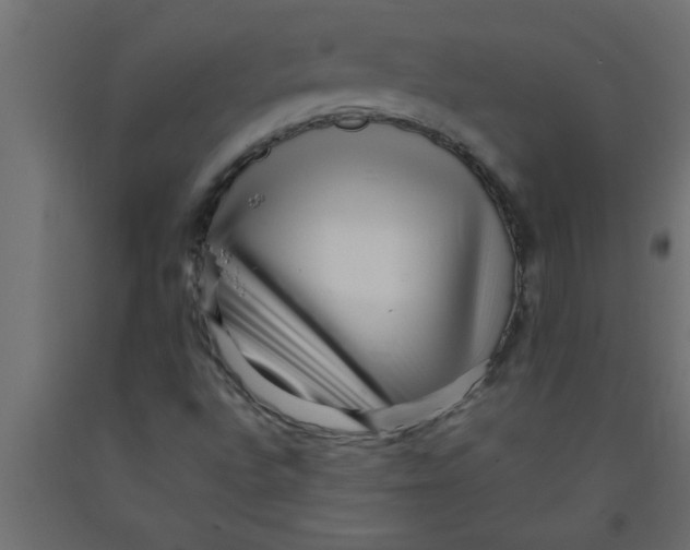 X0000090861496200708241847